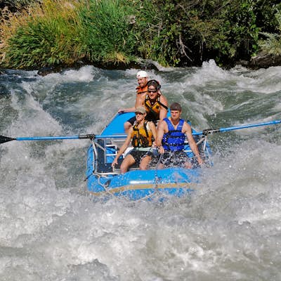 Raft or Kayak the Wild & Scenic Rogue River
