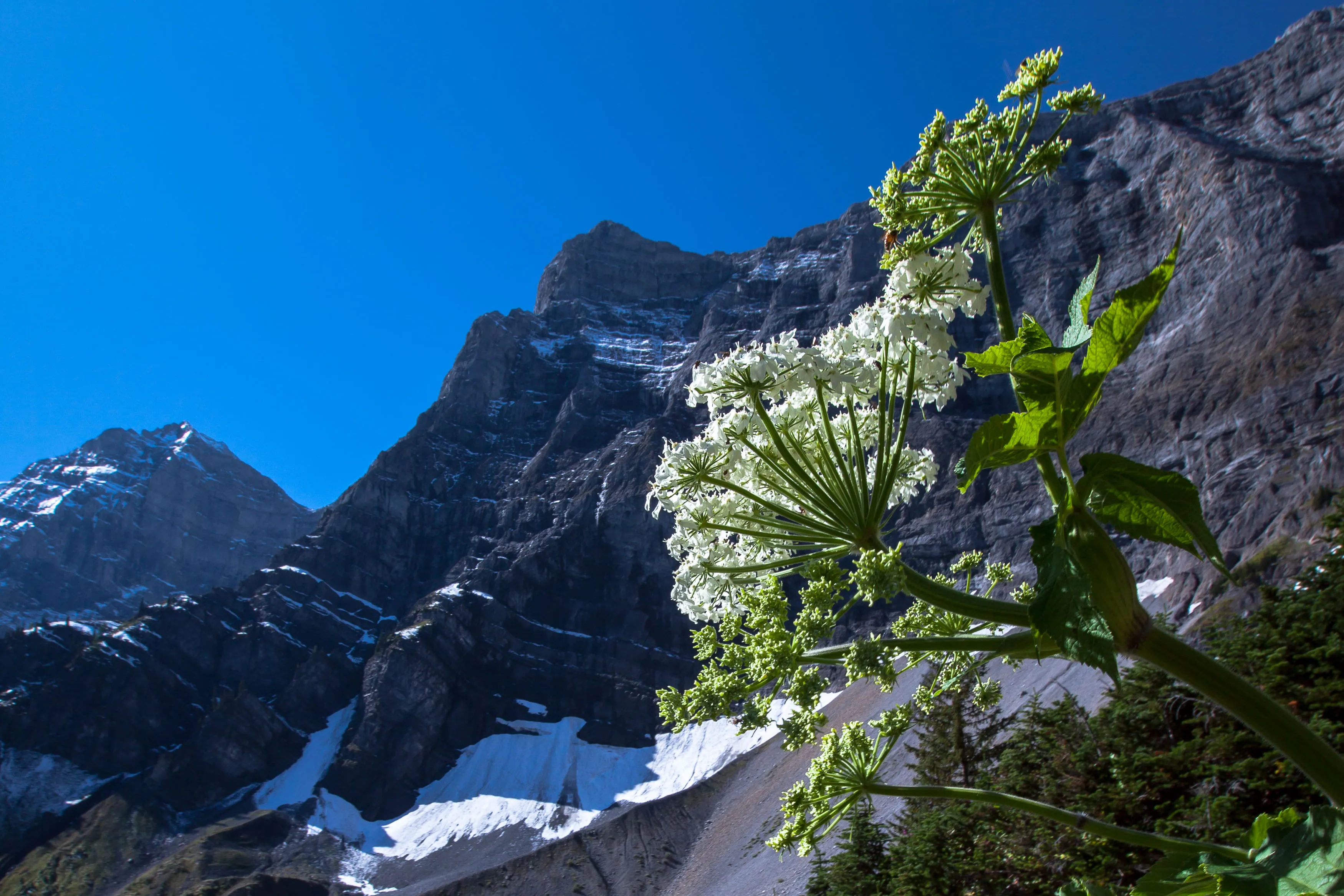 Rawson Lake