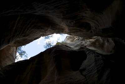 Canyoneering Birch Hollow