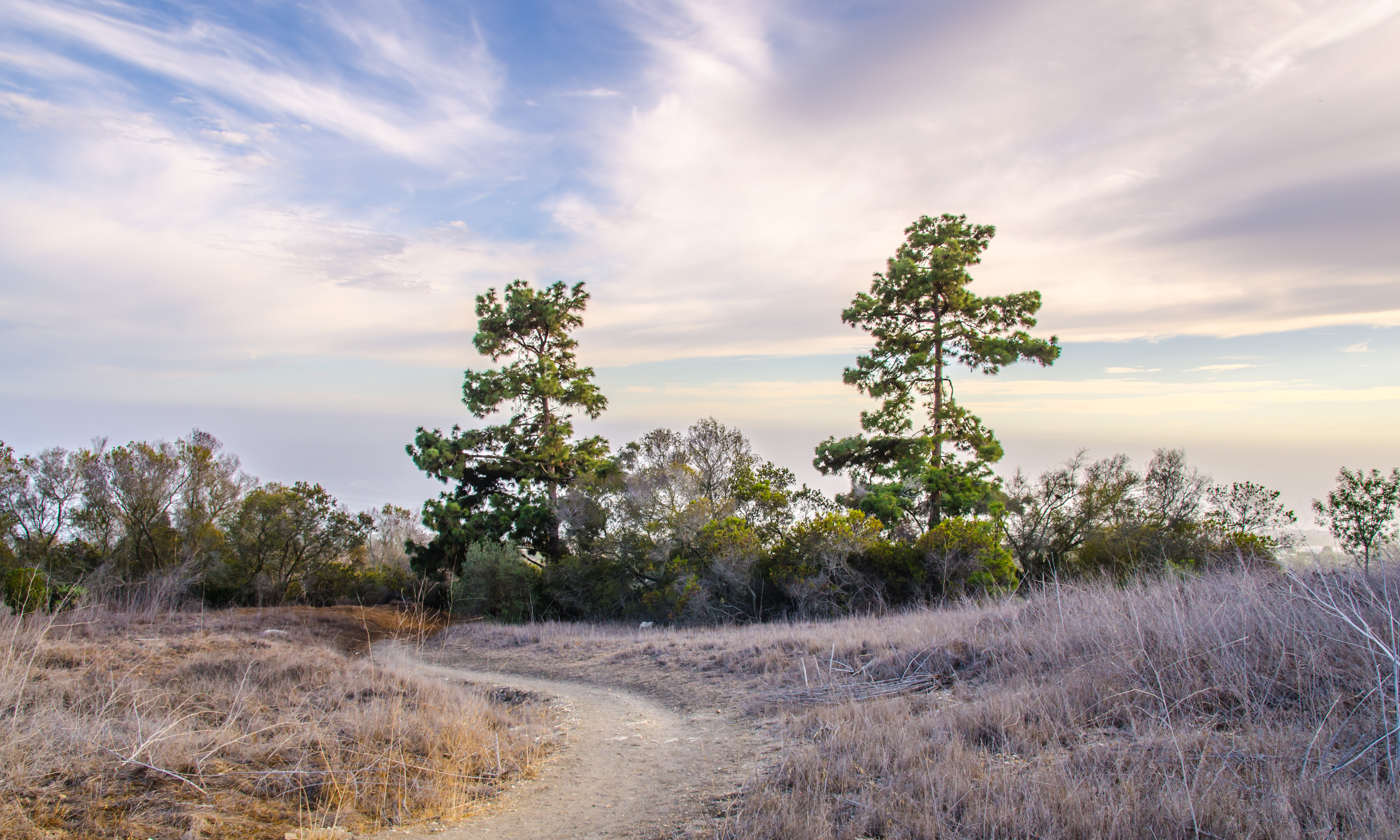 Burma Road Trail & Ishibashi Trail Loop
