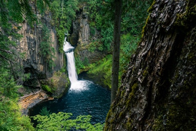 Hike to Toketee Falls, Toketee Falls