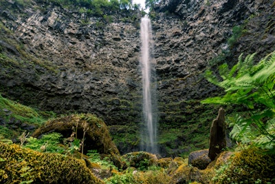 Hike to the Watson Falls, Watson Falls