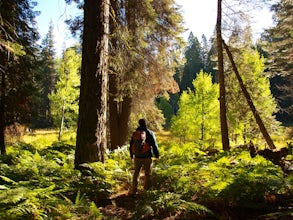 Hike Crescent Meadow