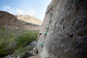 Rock Climbing at Dogwood