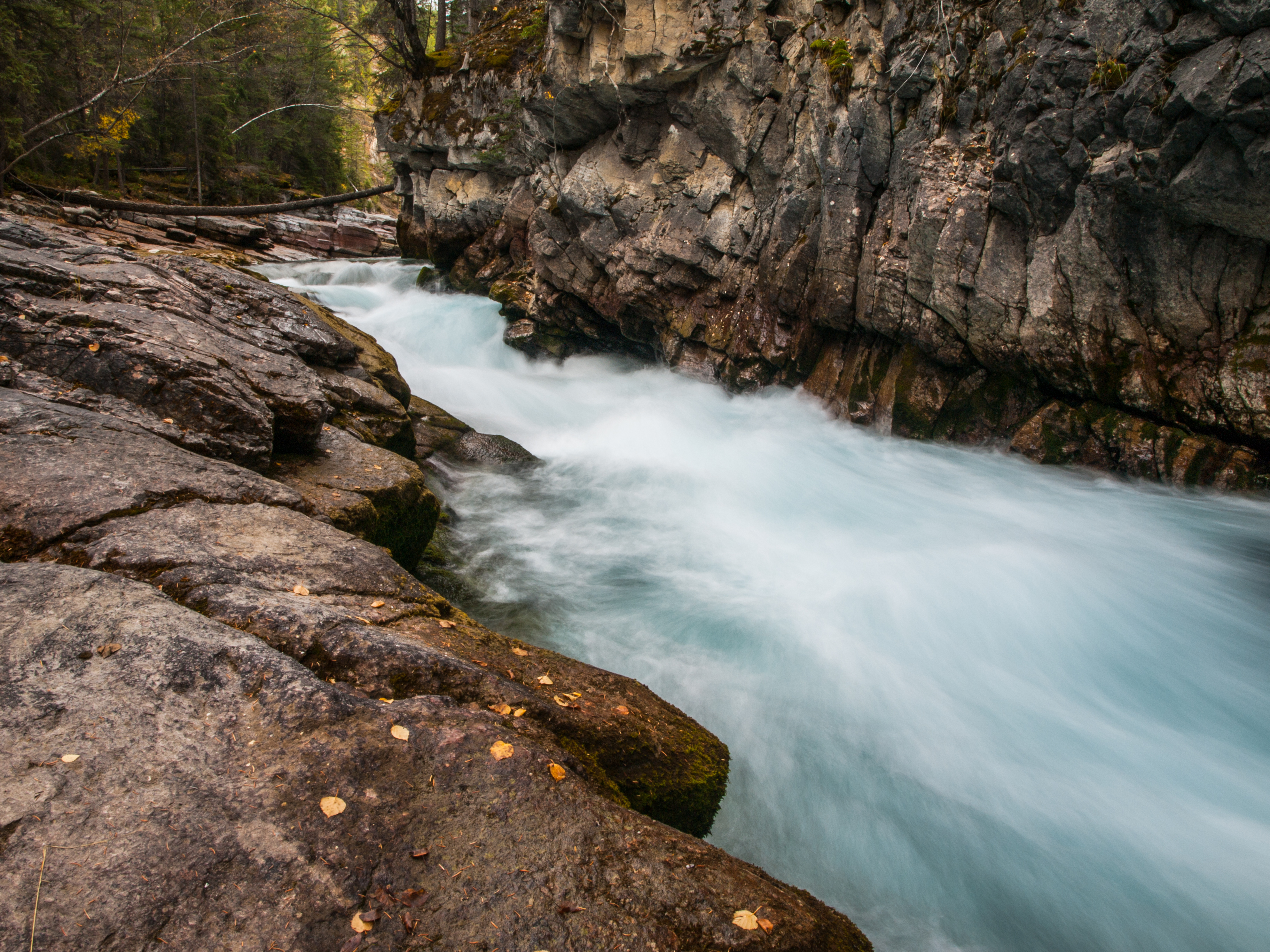 Maligne Canyon