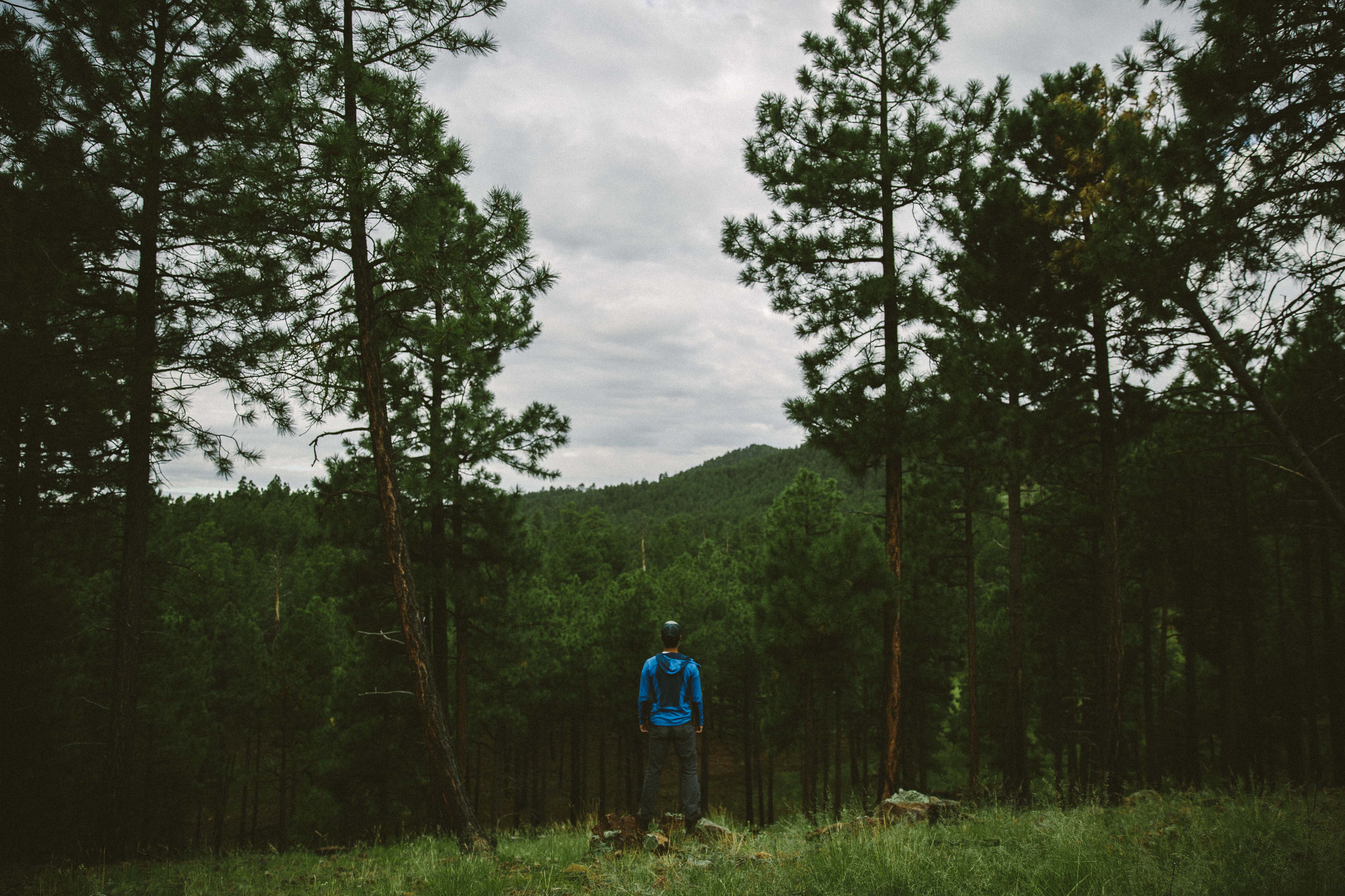 Hike and Camp at Arizona's A1 Mountain
