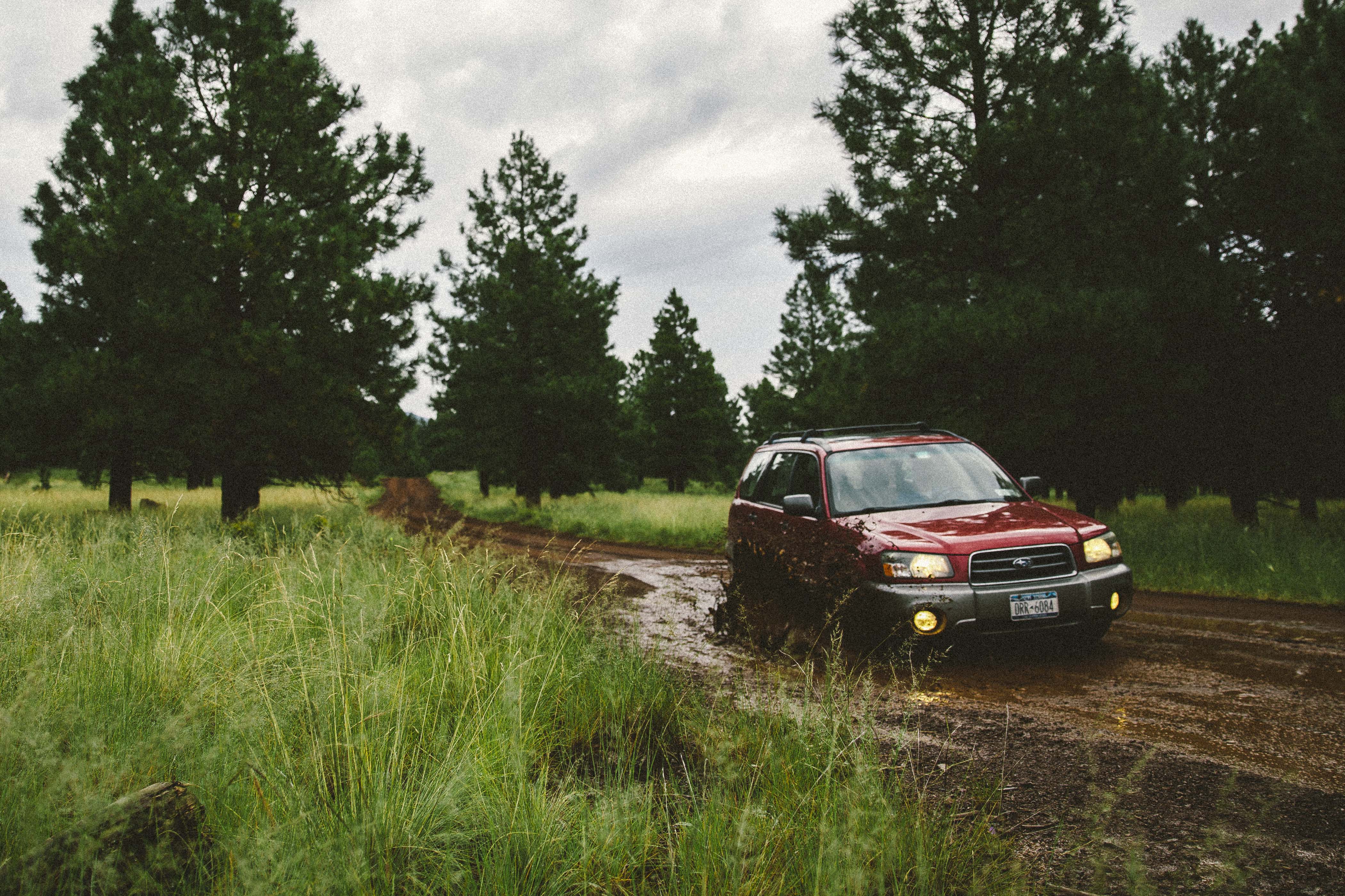Hike and Camp at Arizona's A1 Mountain