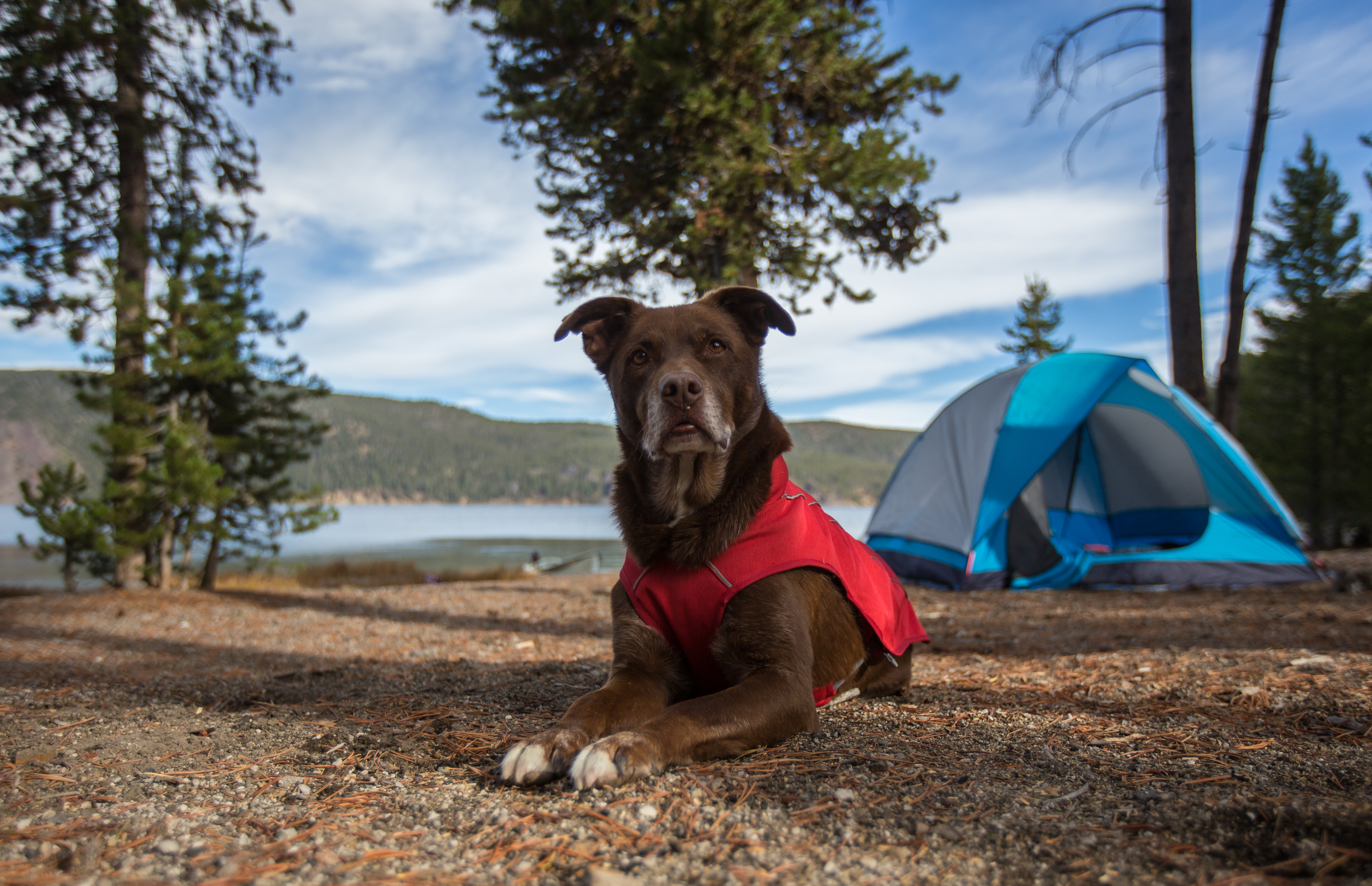 Camp and Fish on East Lake 