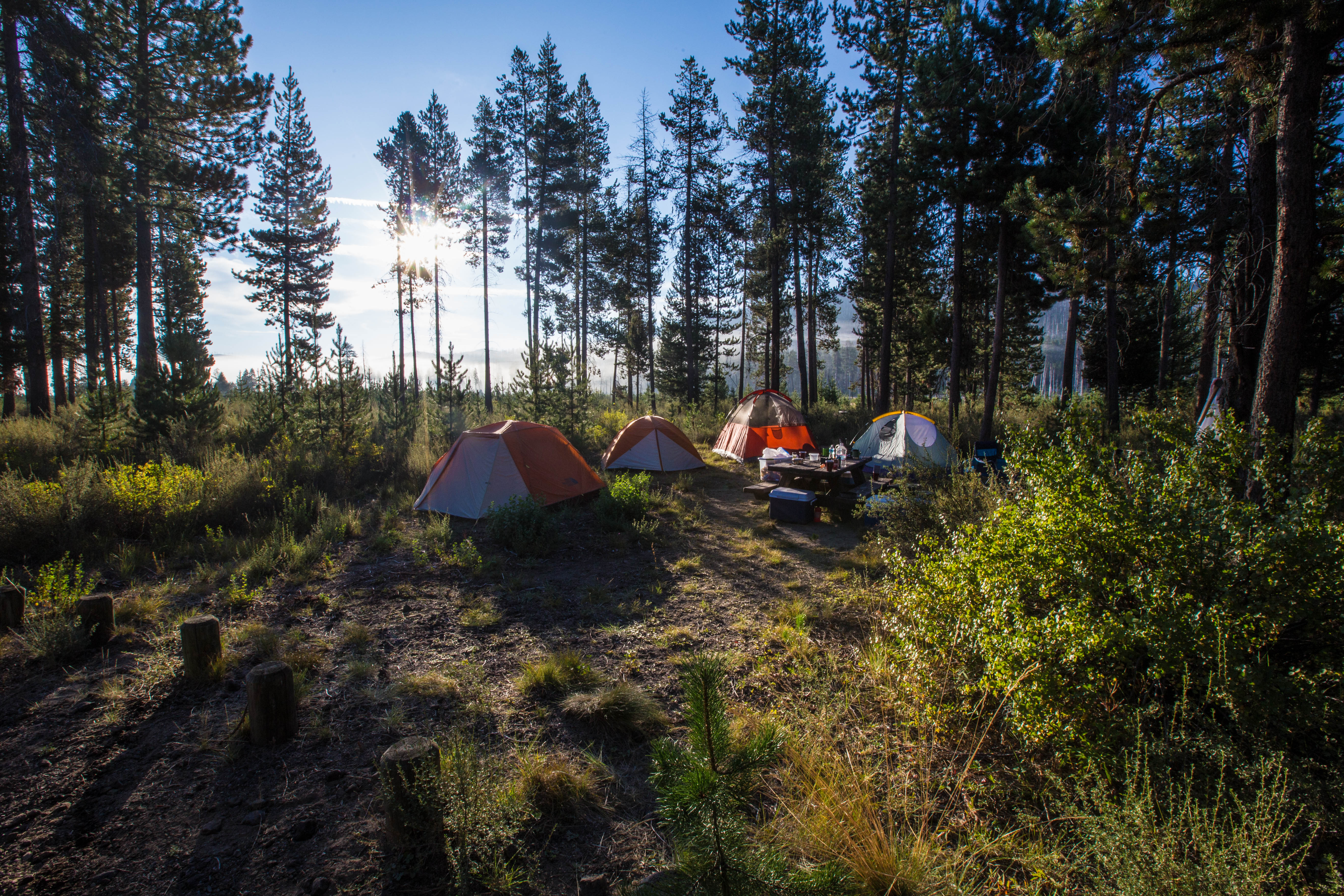 Fly Fish on Davis Lake 