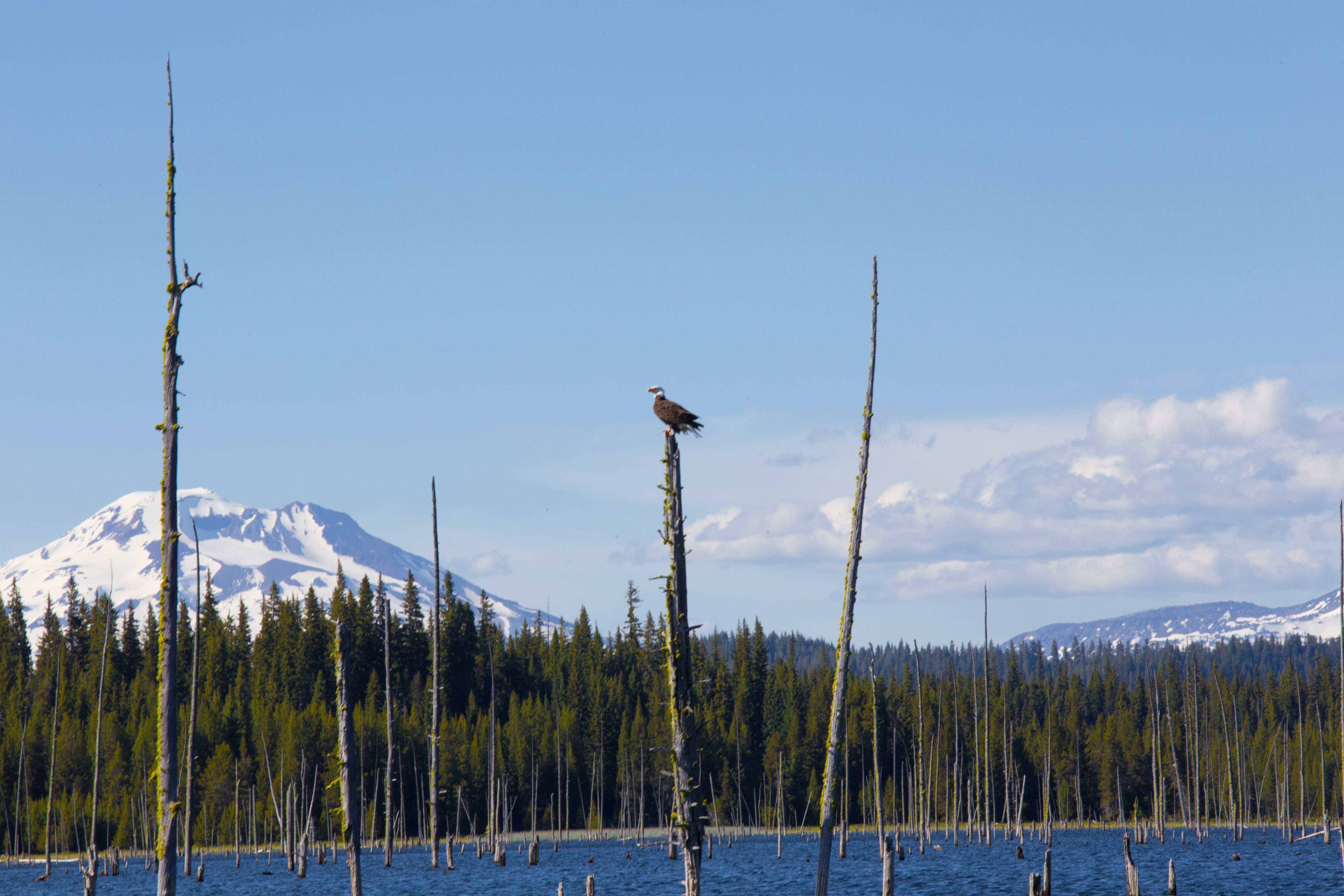 Camp and Fish at Crane Prairie Reservoir