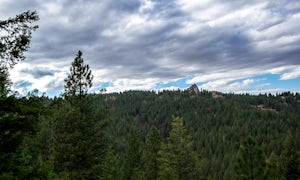 Freddy's Stack Rock Loop