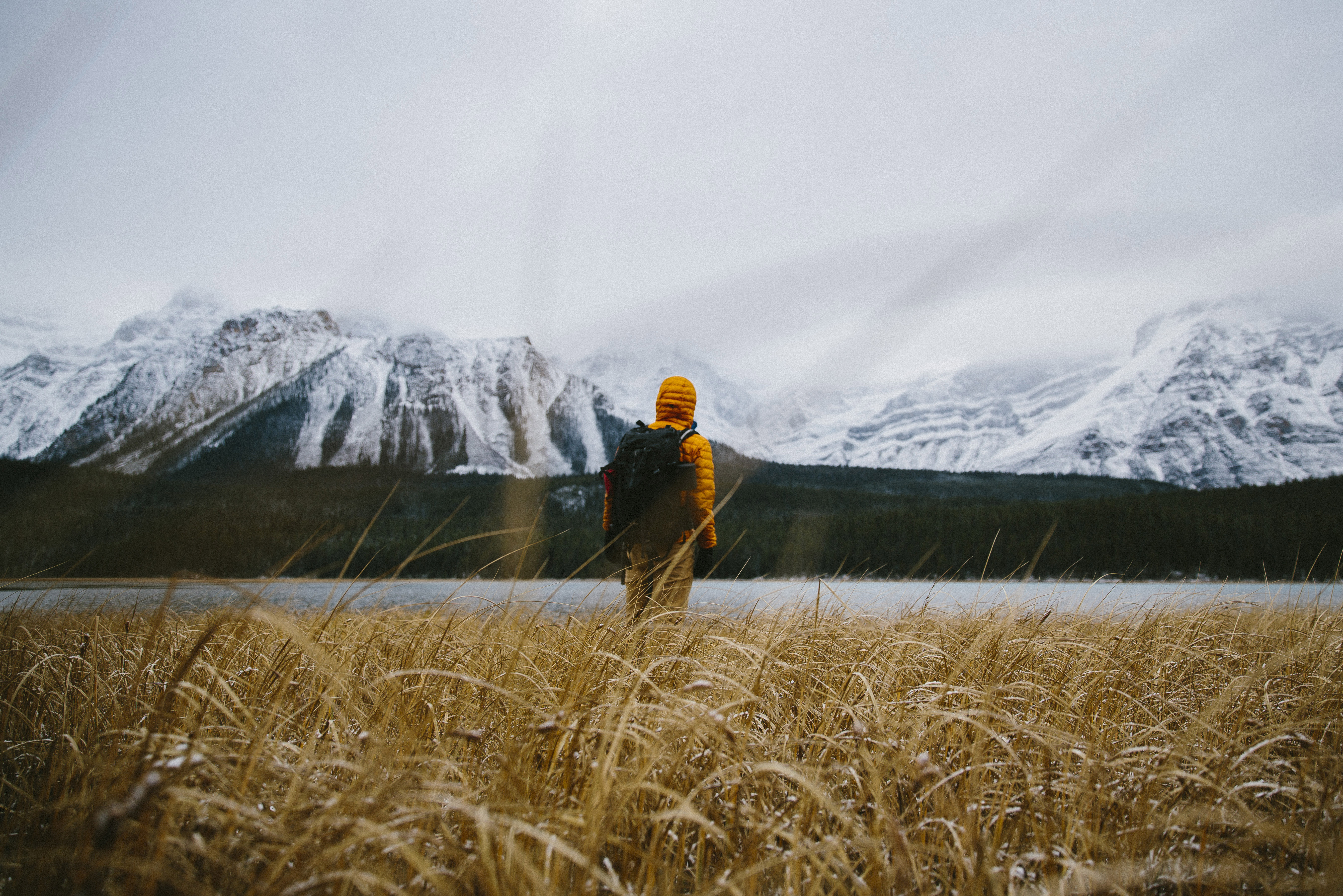 Drive the Icefields Parkway