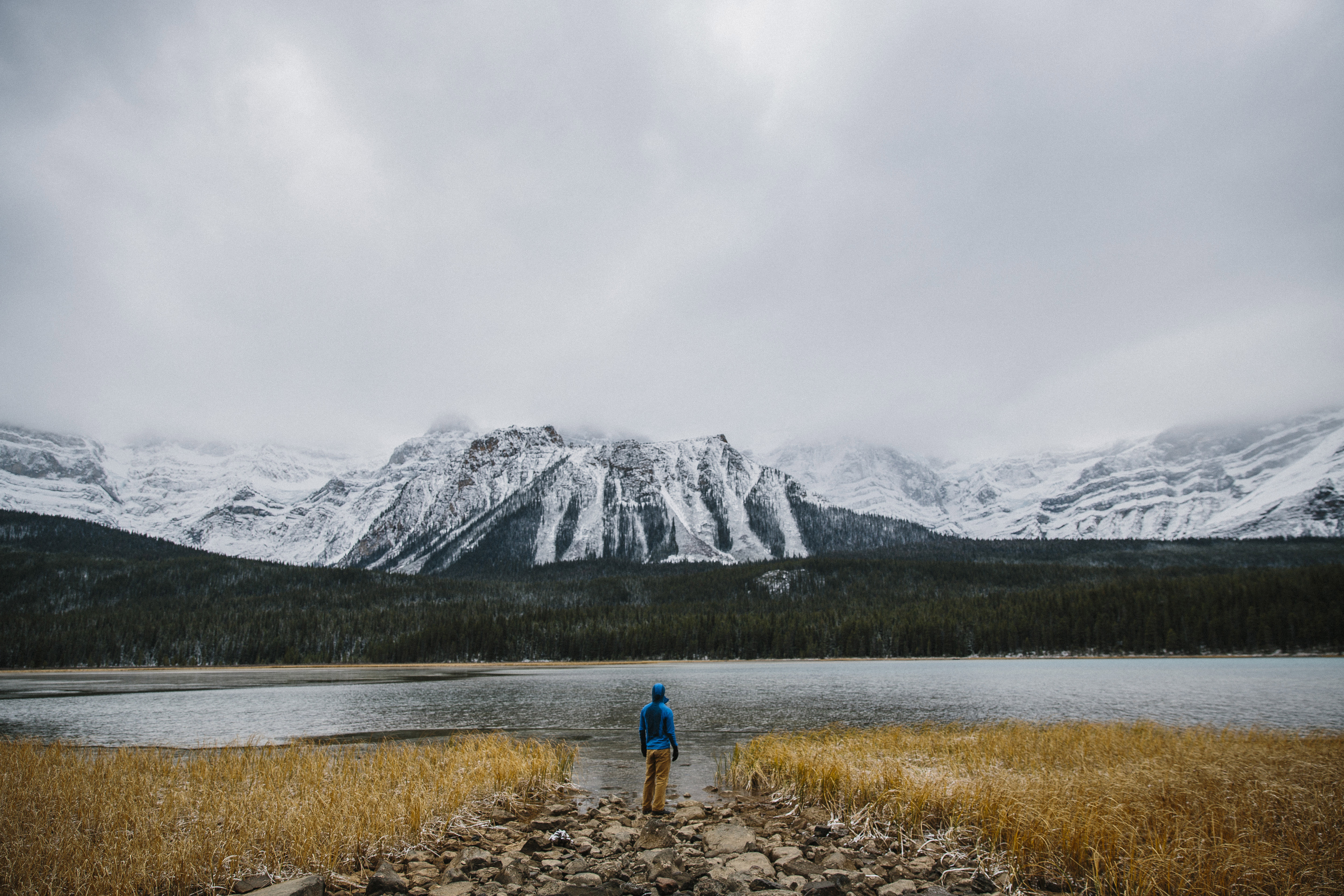 Drive the Icefields Parkway