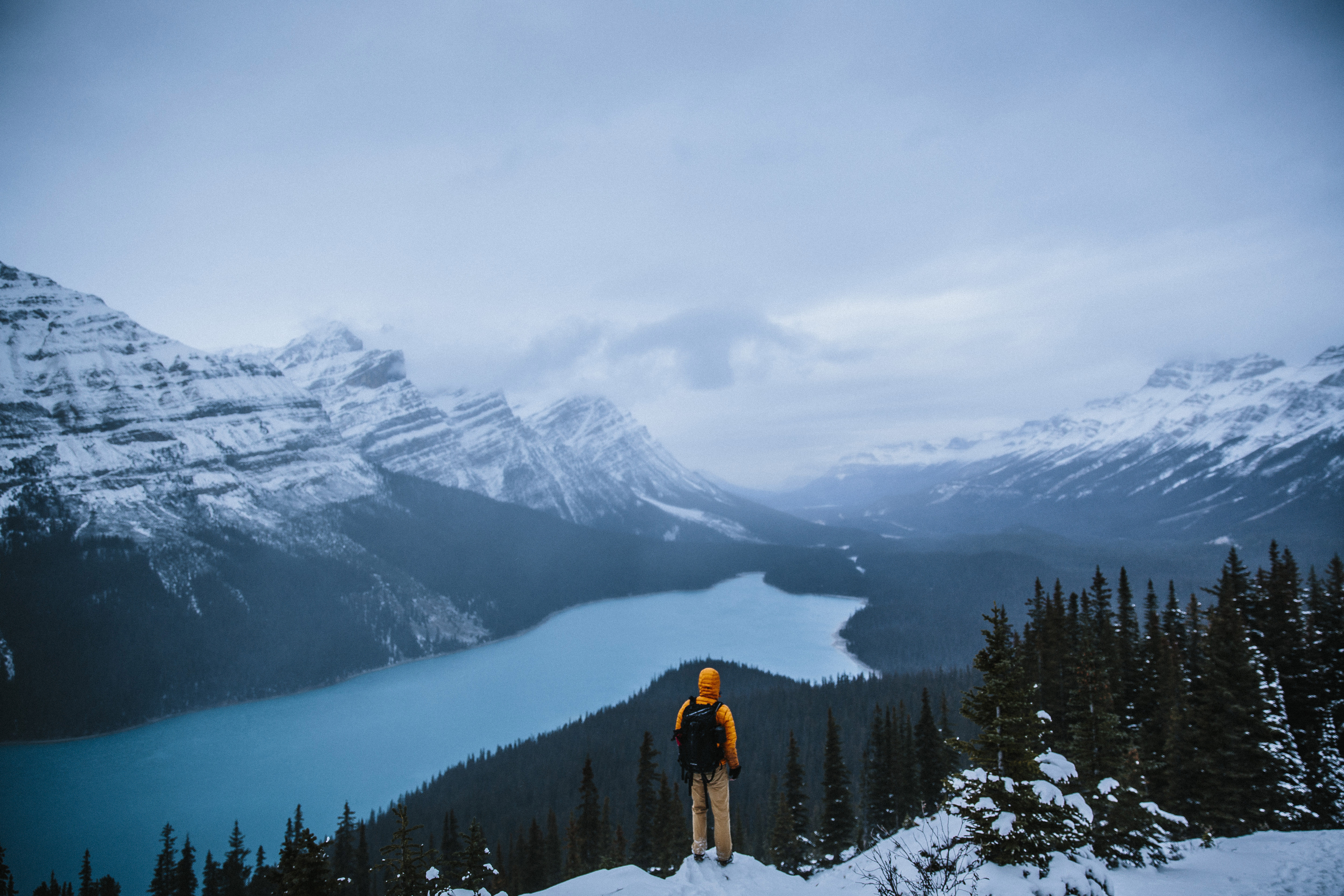 Drive the Icefields Parkway