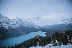 Drive the Icefields Parkway