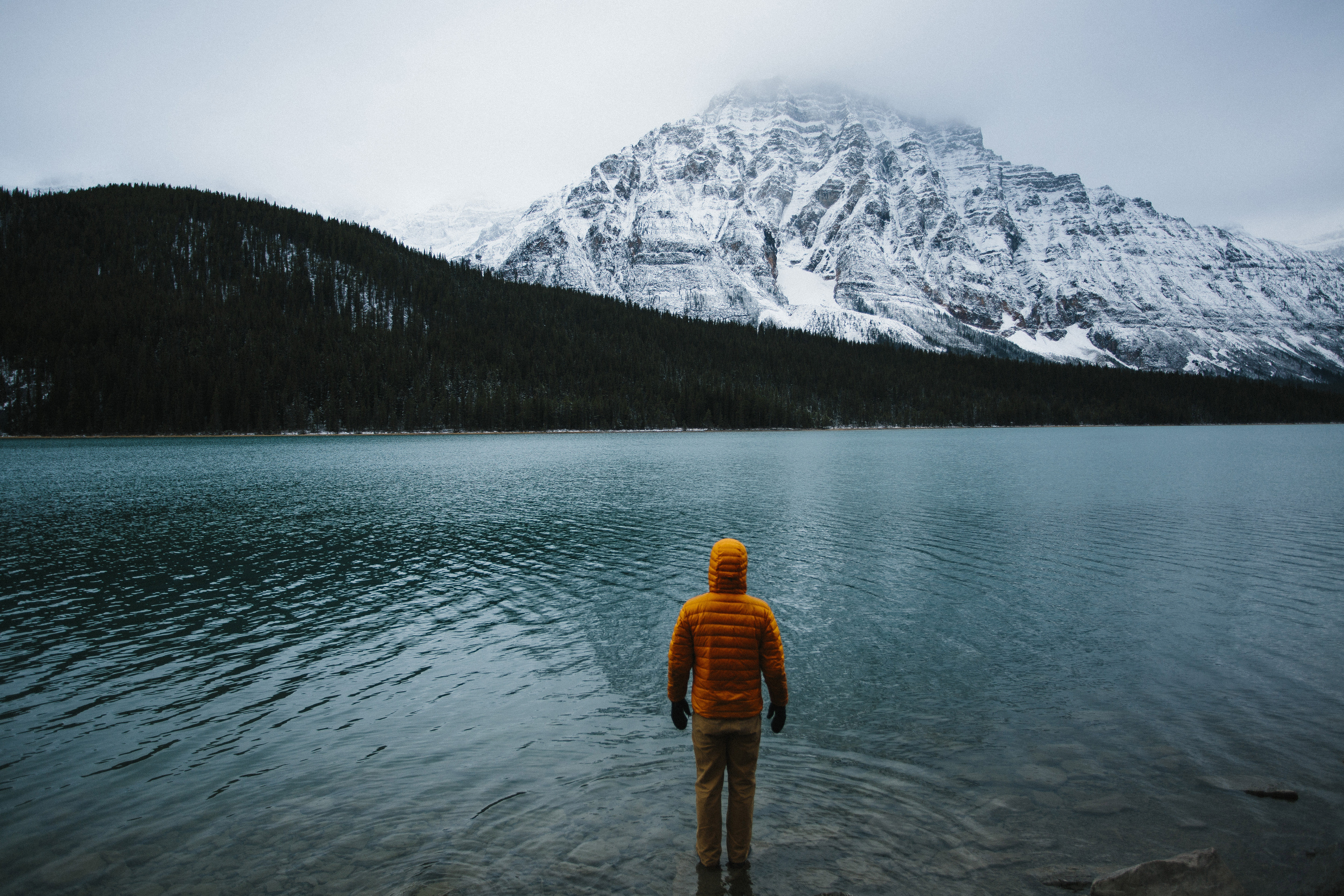 Drive the Icefields Parkway