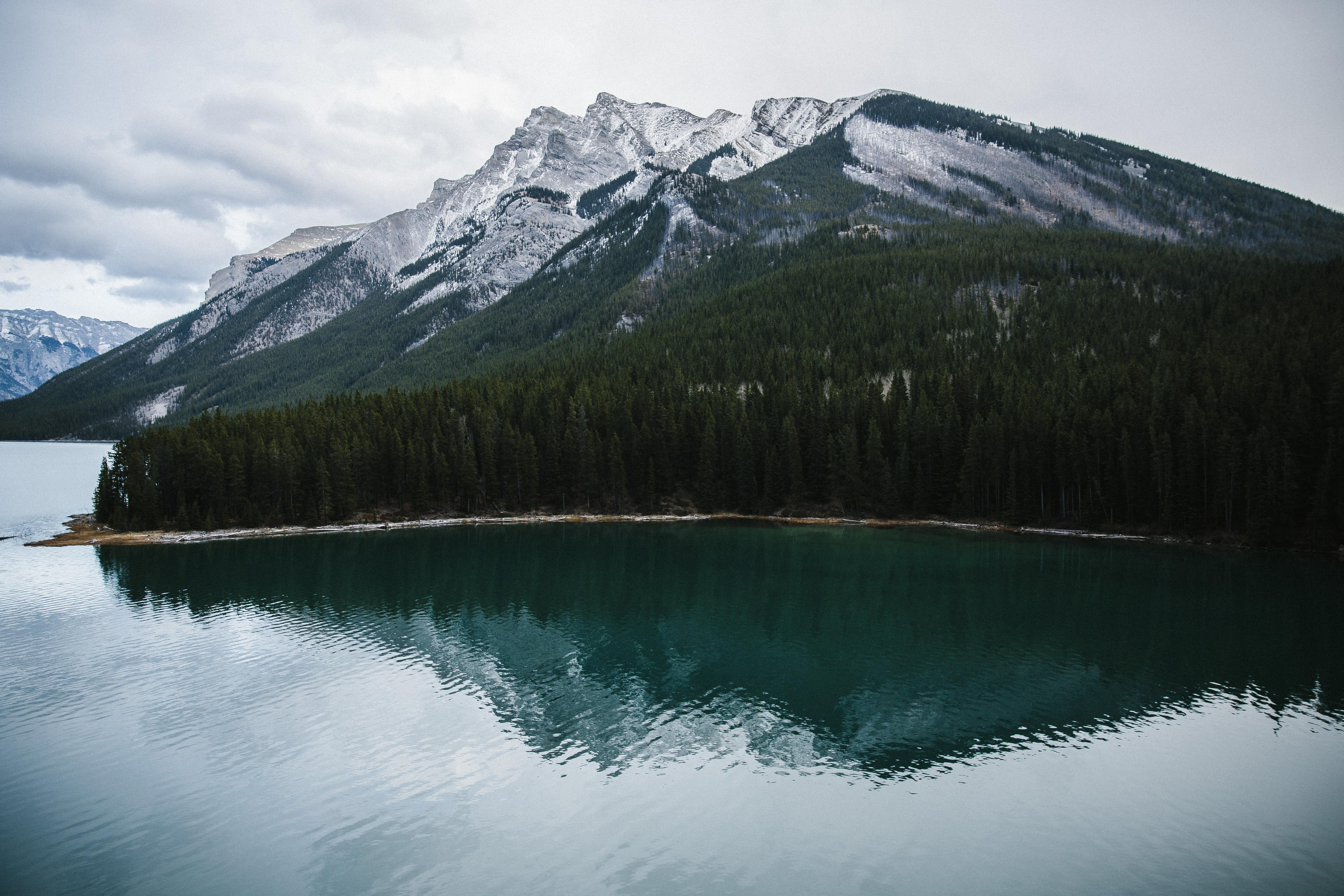 Drive the Icefields Parkway
