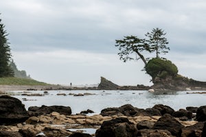 Backpacking the West Coast Trail