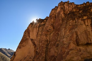 Timber Gulch Trail