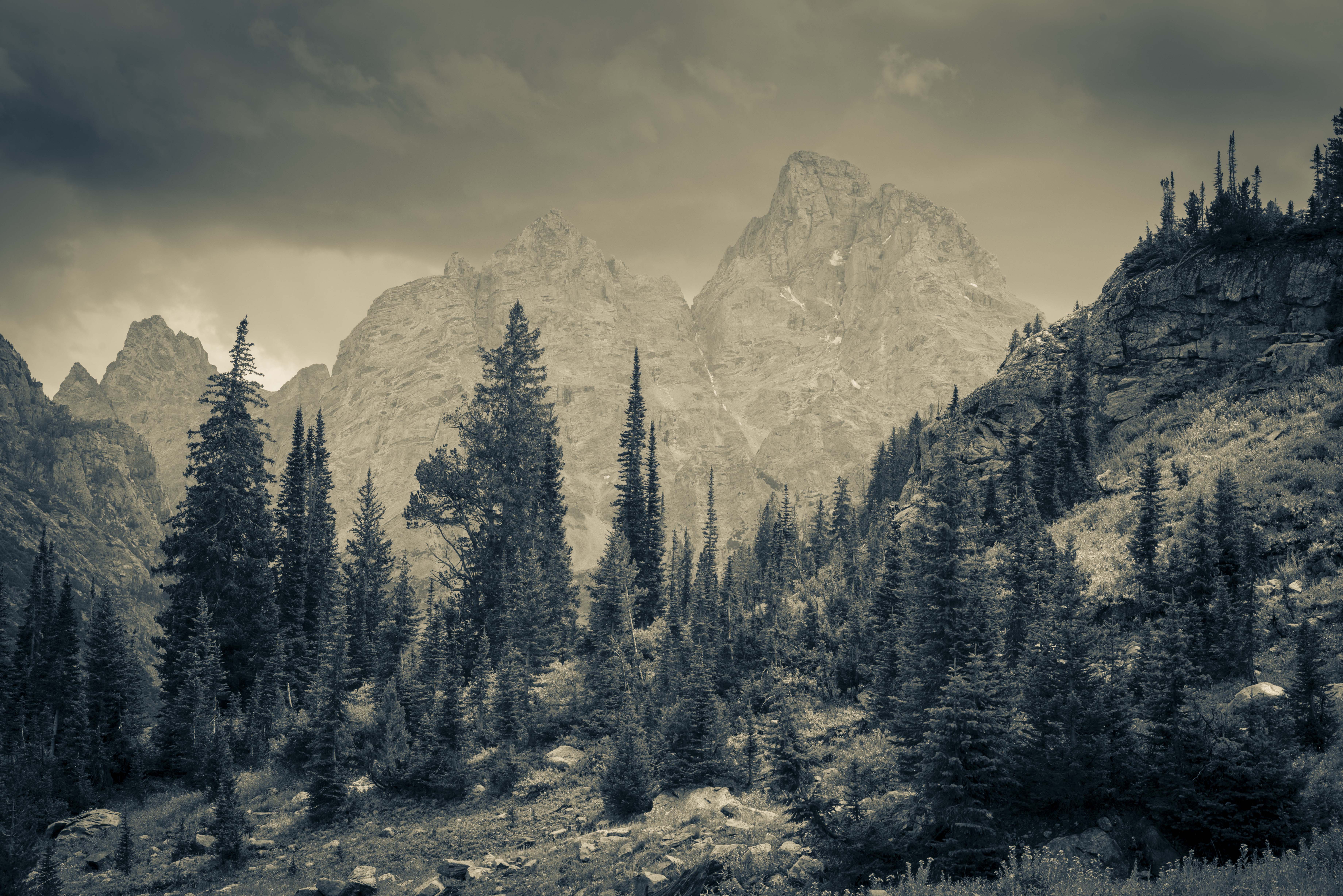 Paintbrush and Cascade Canyons Loop