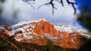 Middle Fork Taylor Creek in Kolob Canyon