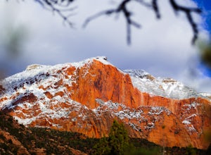 Hike or Run Taylor Creek's Middle Fork in Kolob Canyon