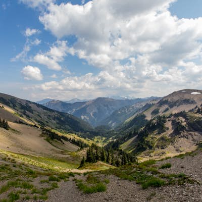 Hike to Elk Mountain from Obstruction Point