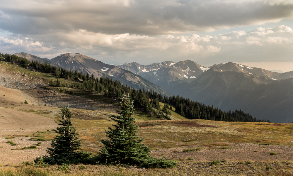 Elk Mountain via Obstruction Point