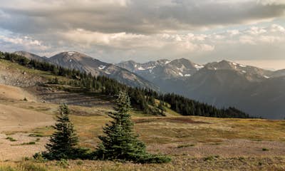 Hike to Elk Mountain from Obstruction Point