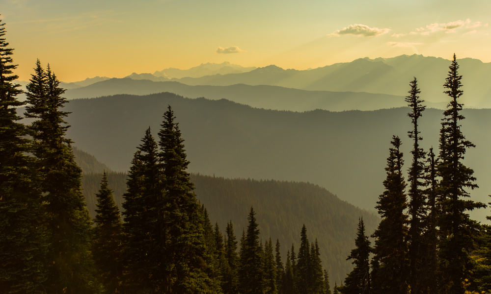 Elk Mountain via Obstruction Point