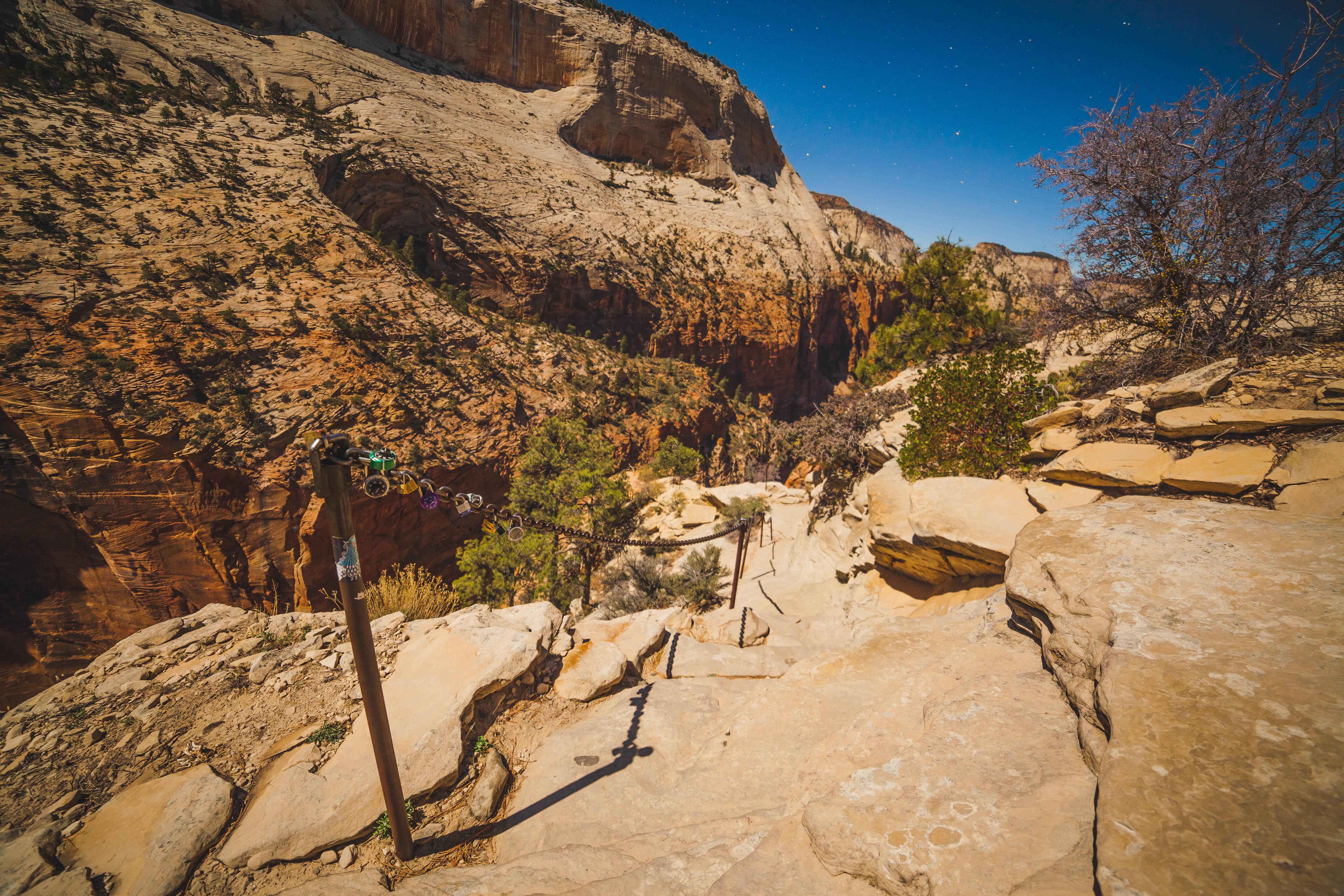 Hike Angels Landing at Night