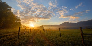 Bike Cade's Cove Loop