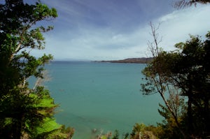 Hike the Abel Tasman Coast Track