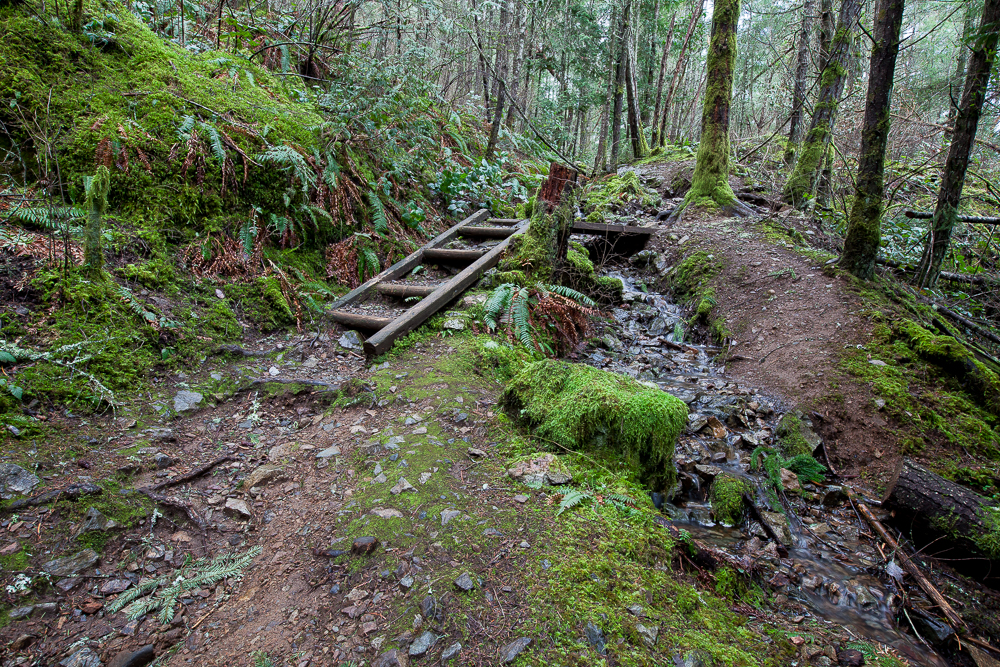 Jocelyn Hill via Cascade Trailhead