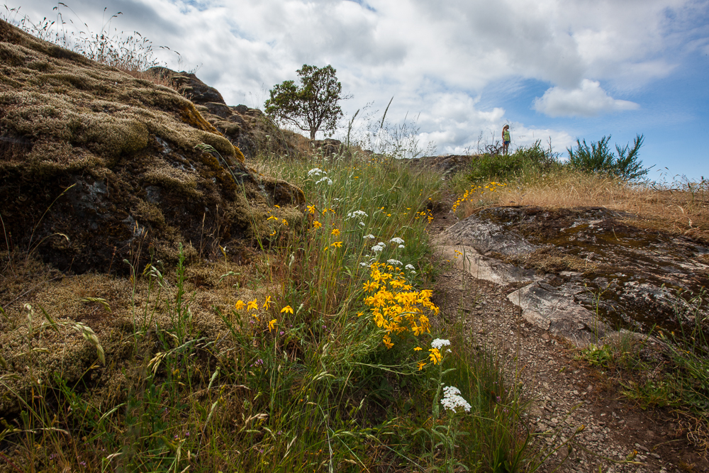 Jocelyn Hill via Cascade Trailhead