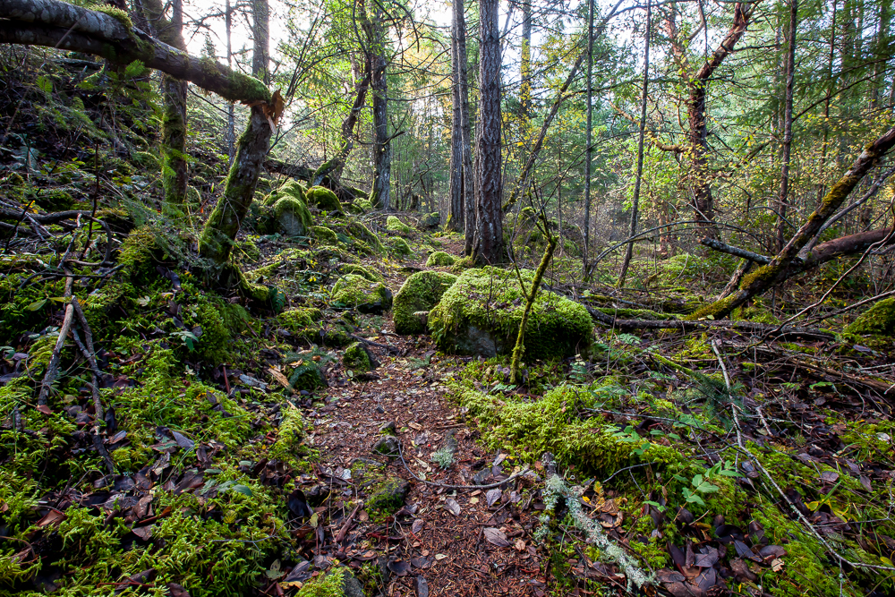 Jocelyn Hill via Cascade Trailhead