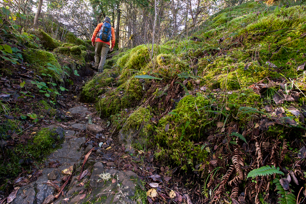 Jocelyn Hill via Cascade Trailhead