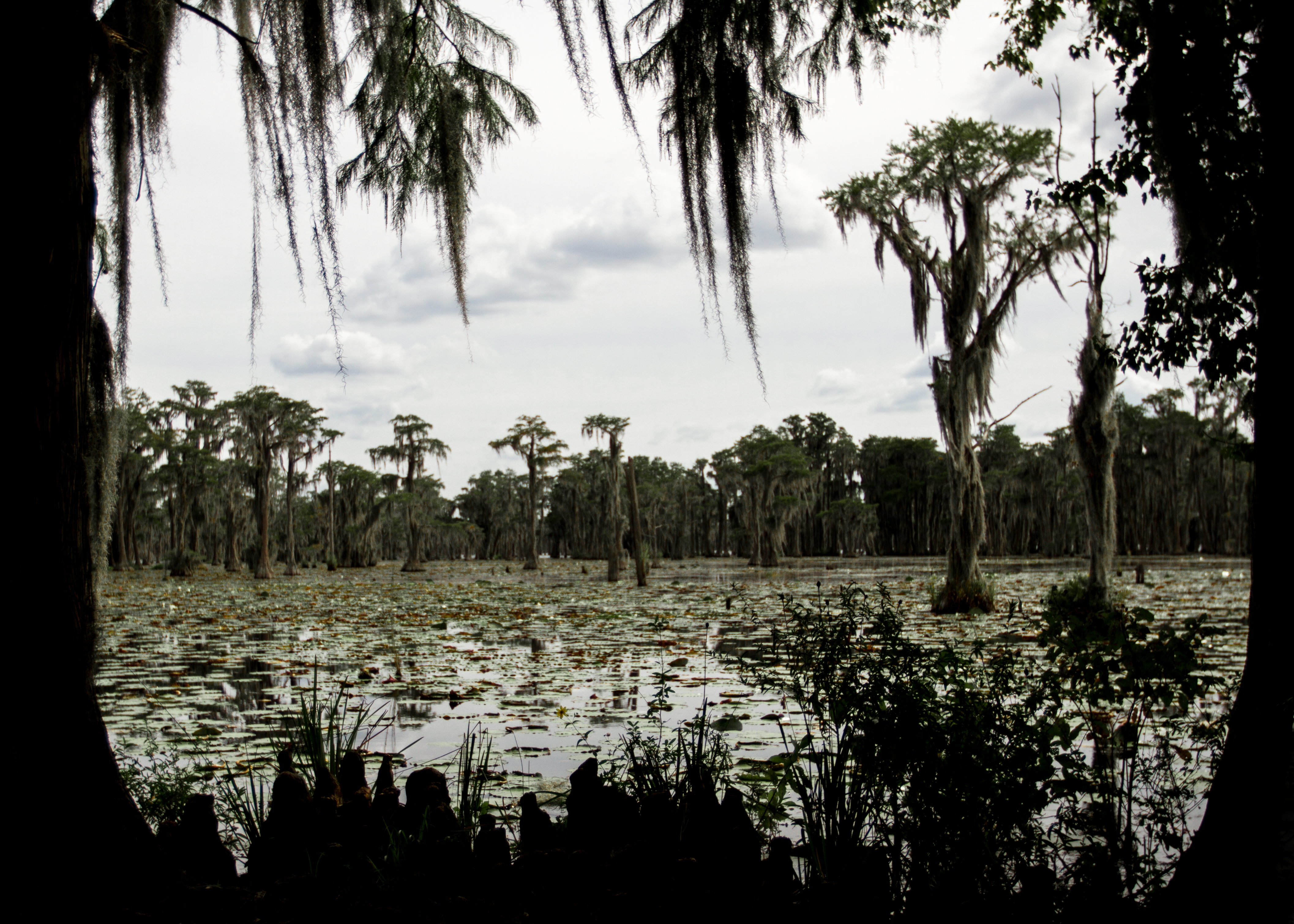 Paddle Banks Lake