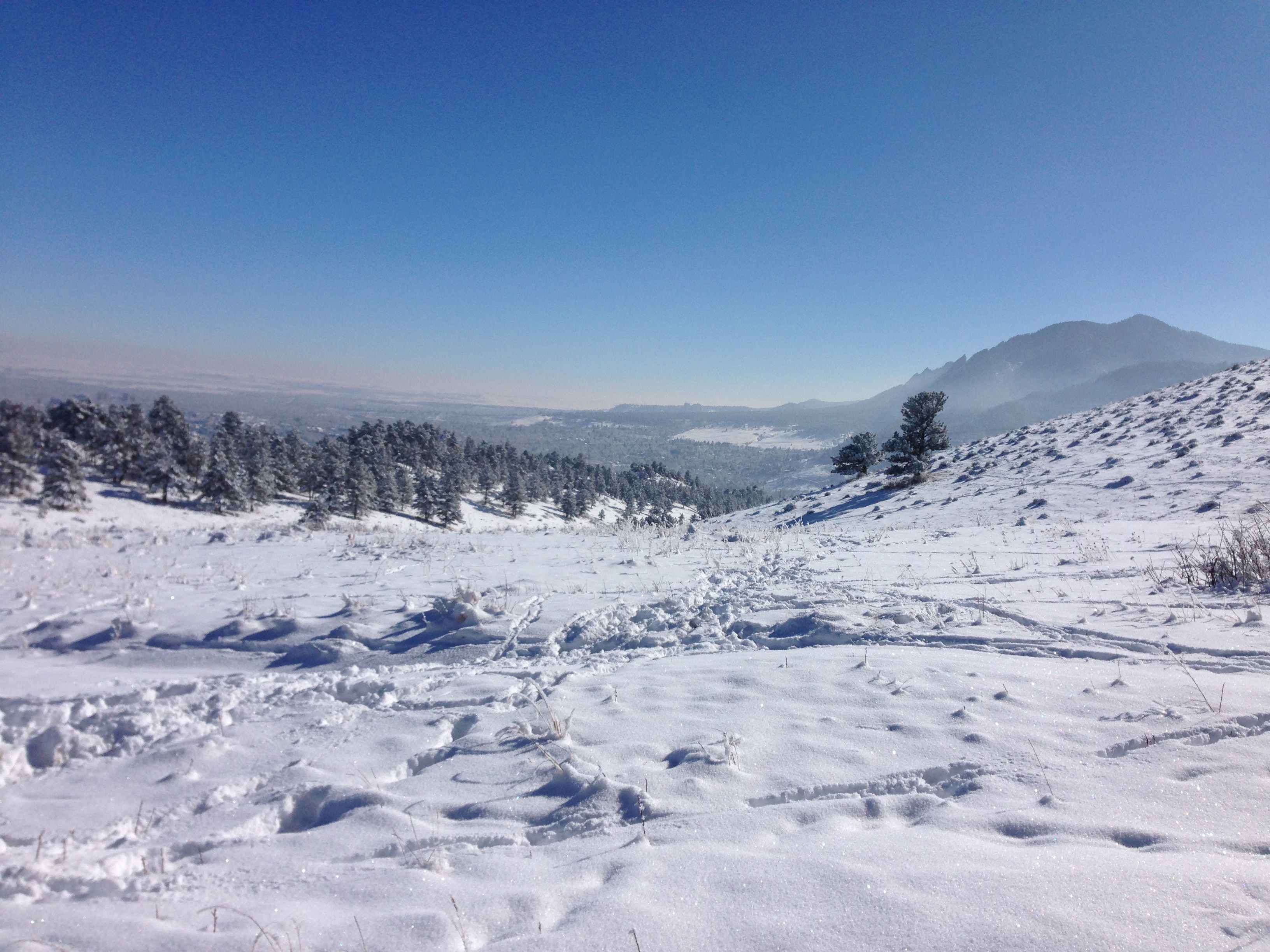 Mount Sanitas Loop & Settlers Park 