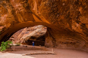 Navajo Arch via Devils Garden Trailhead