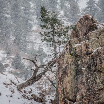 Winter Hiking and Wildlife in Waterton Canyon