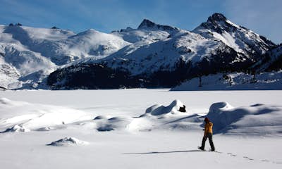Explore Garibaldi Park on Snowshoes