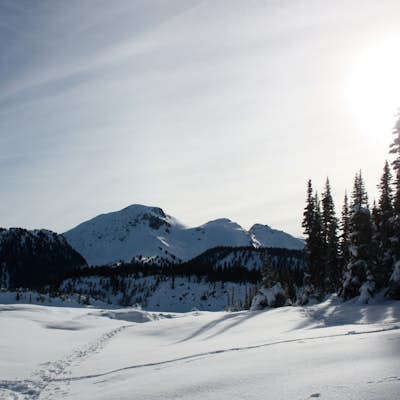 Explore Garibaldi Park on Snowshoes