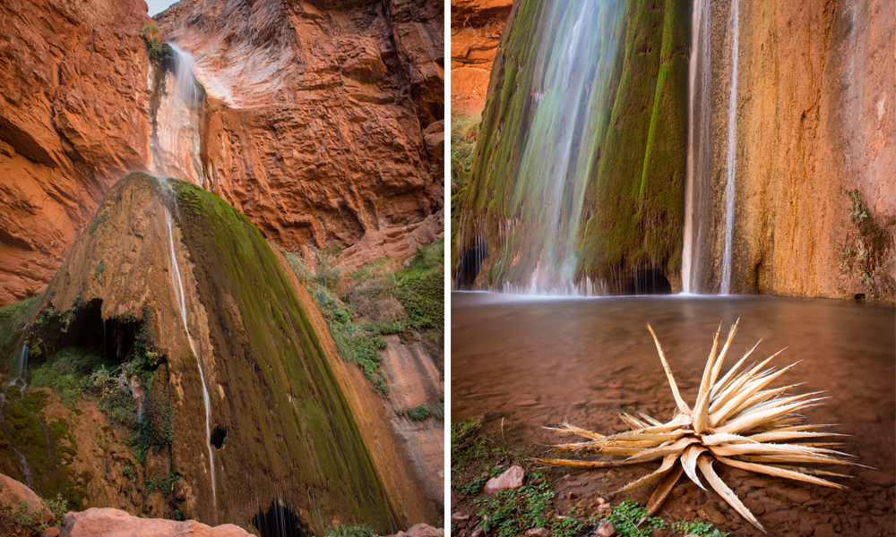 Grand Canyon: Rim-to-Rim-to-Rim