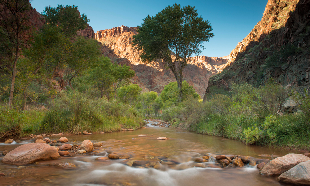 Grand Canyon: Rim-to-Rim-to-Rim