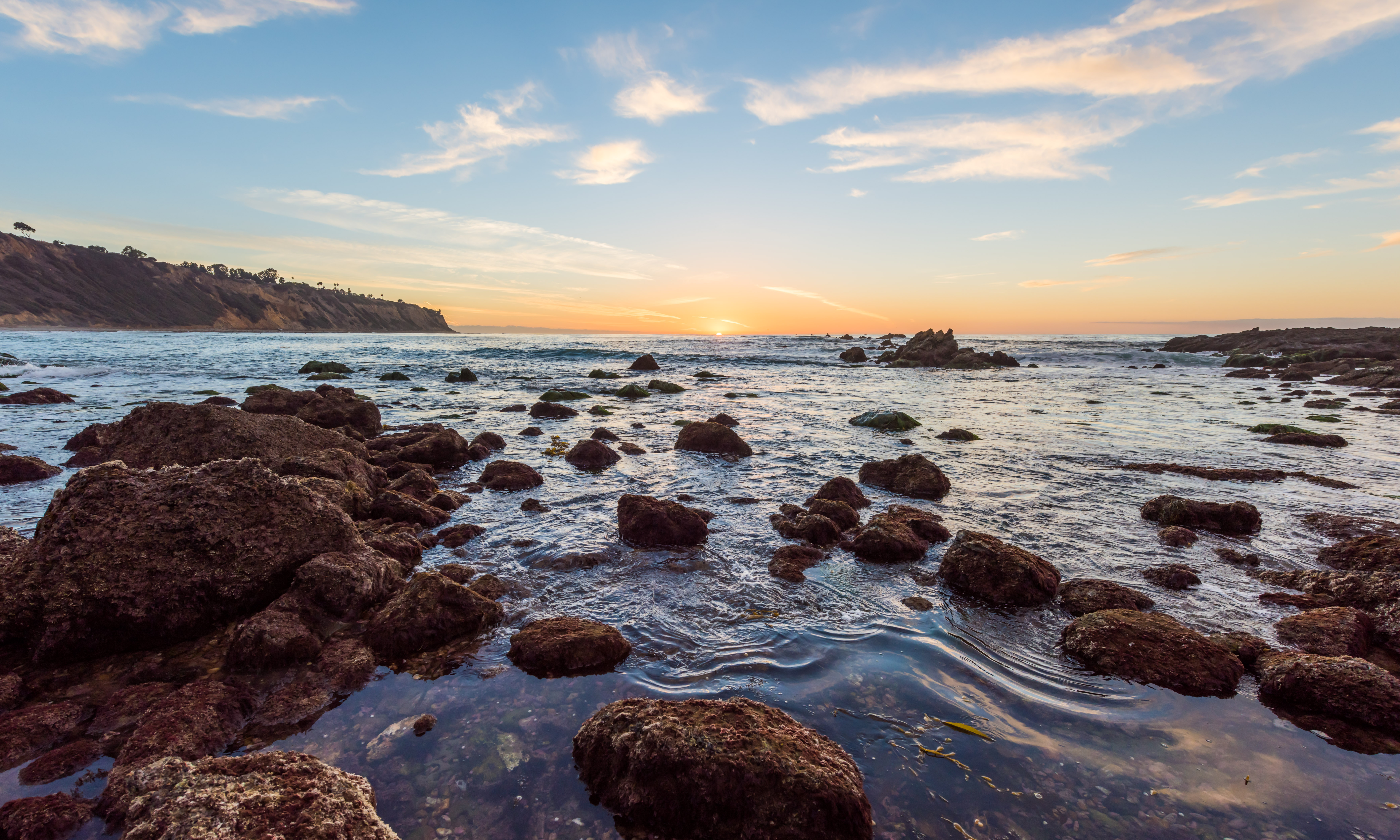 Bluff Cove