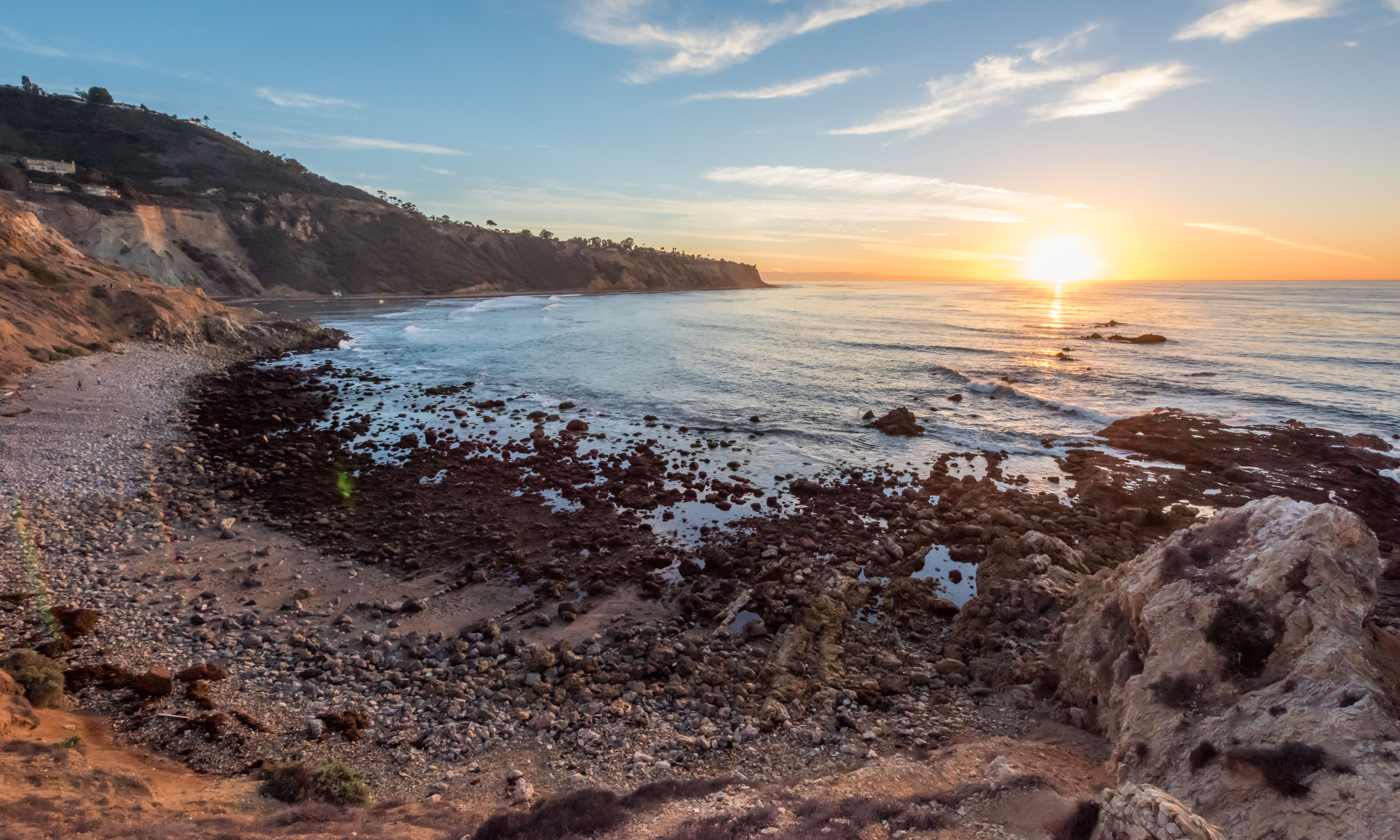 Bluff Cove