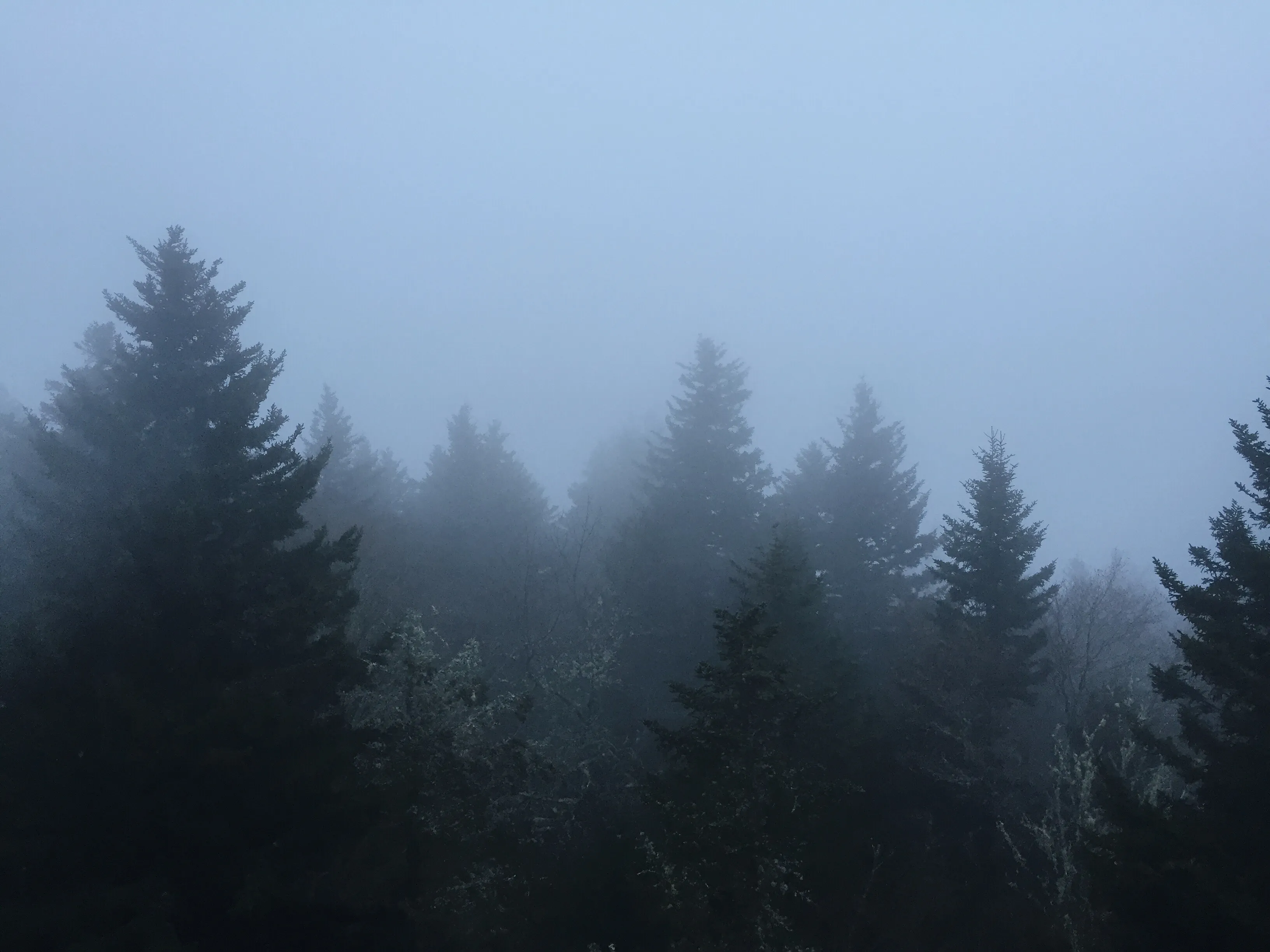 Hike Mt. Sterling in Great Smoky Mtns. NP