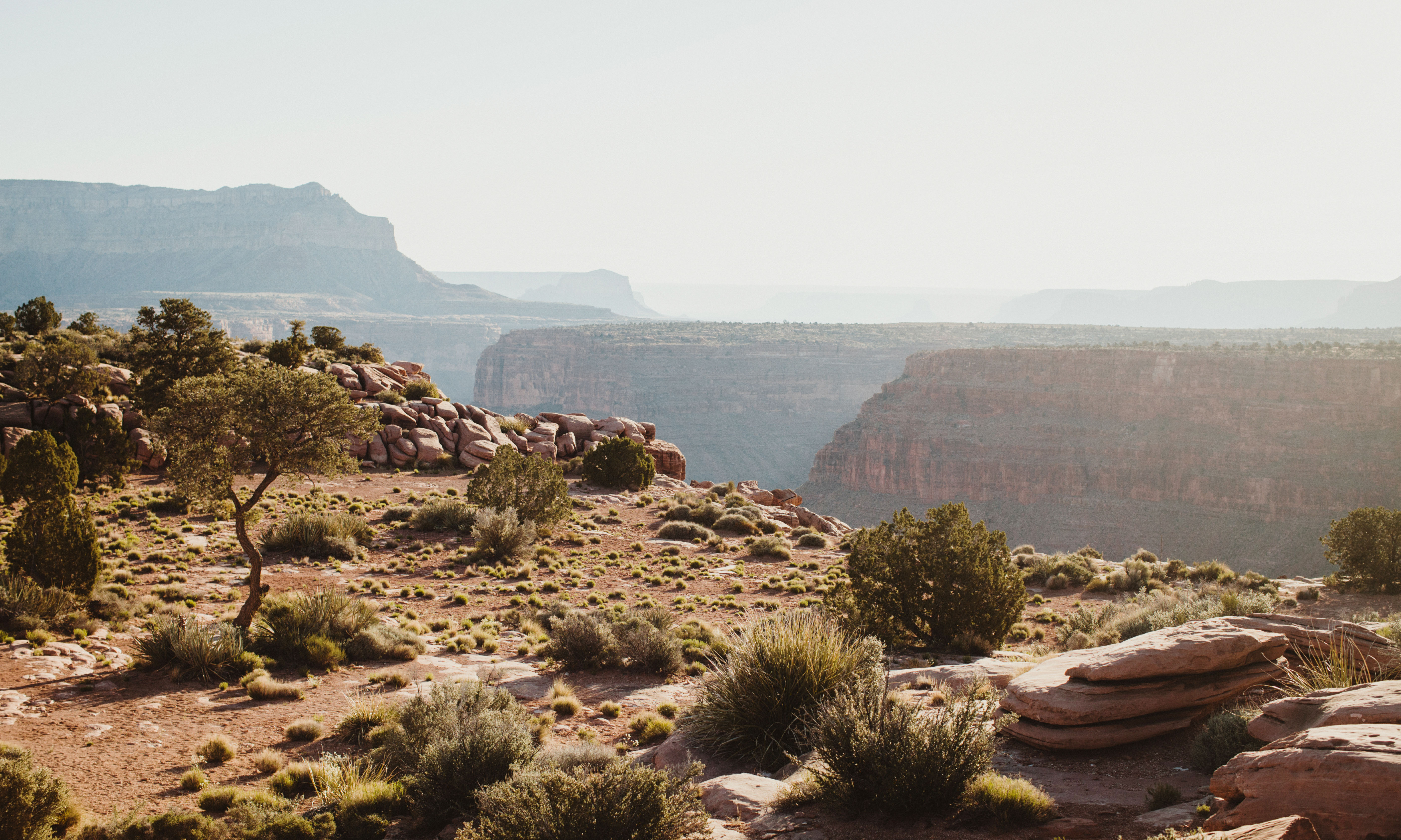 Explore the Toroweap Overlook
