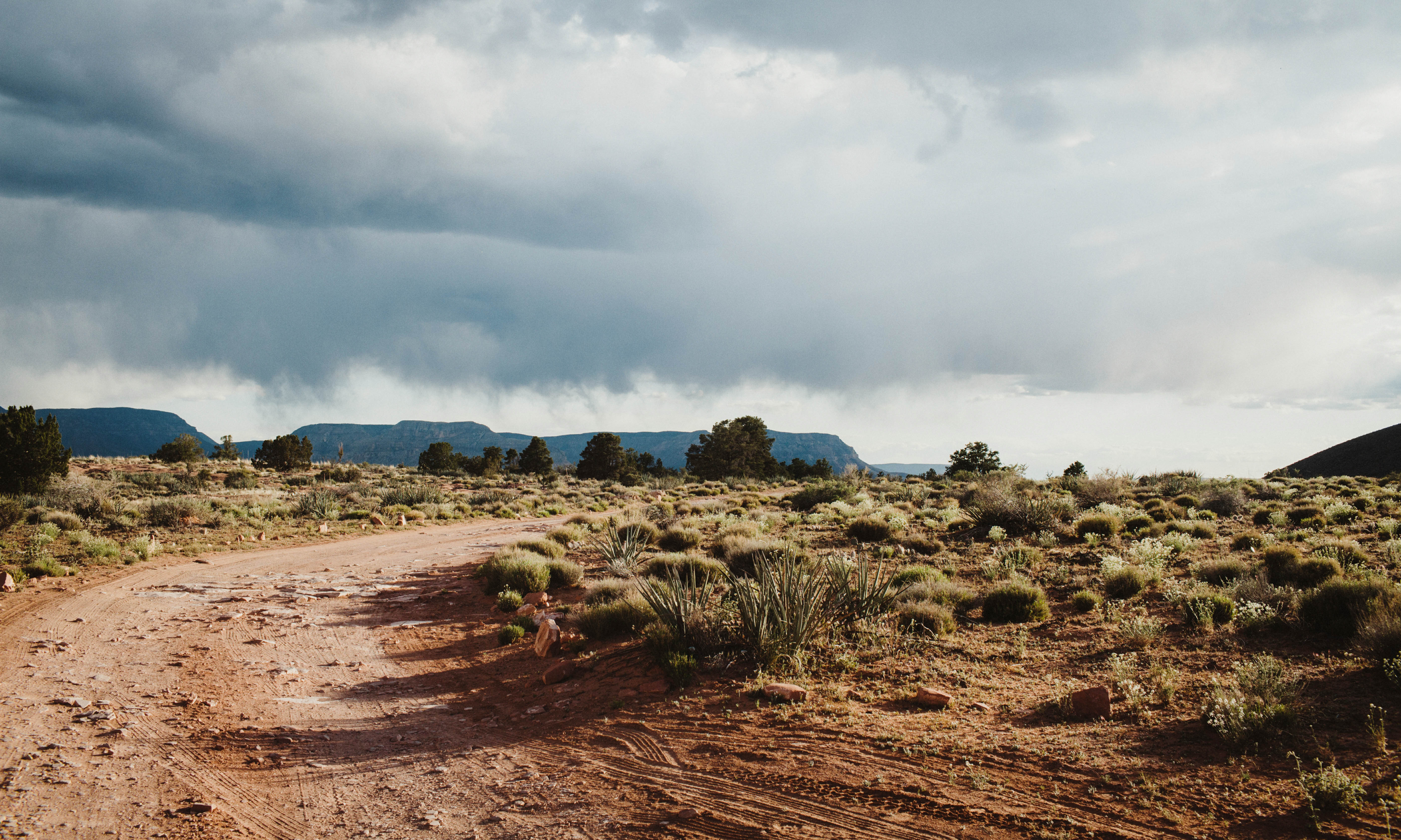 Explore the Toroweap Overlook